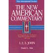 01381: New American Commentary 1,2,3 John - Volume 38
