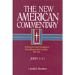 20125: John 1-11, New American Commentary