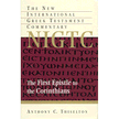 24502: The First Epistle to the Corinthians, New International Greek Testament Commentary