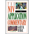 49750: John, NIV Application Commentary