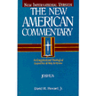5401059: Joshua, New American Commentary