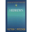 7057248: Hebrews, Abingdon New Testament Commentary Series