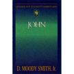 7058120: John, Abingdon New Testament Commentary