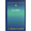 7058163: James, Abingdon New Testament Commentary