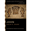 827713: John, Tyndale New Testament Commentary