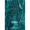 9006280:  Matthew - NIV Commentary: College Press