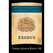 78365EB: Exodus (Brazos Theological Commentary on the Bible) - eBook